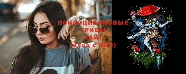 бутират Сатка