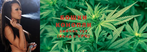 бутират Сатка