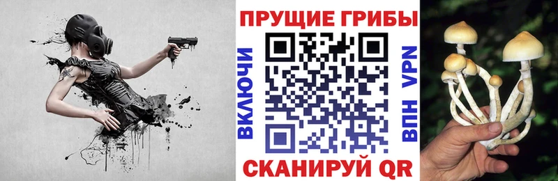 Купить Старый Крым Галлюциногенные грибы Magic Shrooms